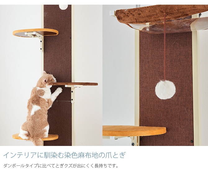 Bonbi ボンビアルコン ボンビ キャットウォークモダン | 商品種別