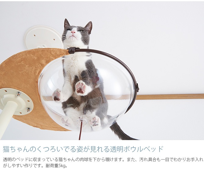 22年レディースファッション福袋特集 Bonbi ボンビアルコン ボンビアルコン キャットポール Bonbi キャットタワー Zenwellness Com Br