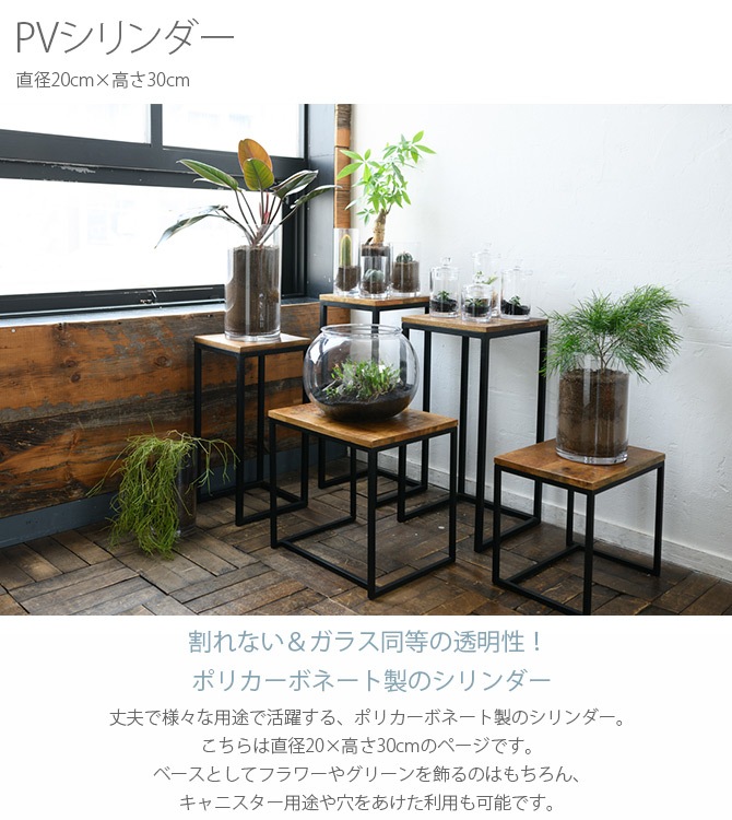 FOYER ホワイエ PVシリンダー 直径20cm×高さ30cm | 商品種別,グリーン