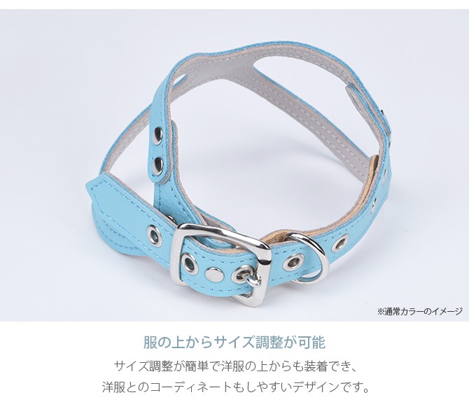 kazama bag ޥХå Kazama Premium ᥬͥϡͥ ɶ SS+    Ķ ѥԡ ᥬͥϡͥ ϡͥ ܳ 쥶  