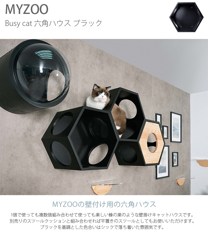 MYZOO マイズー Busy cat 六角ハウス