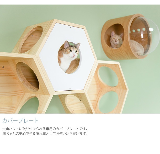 MYZOO マイズー キャットウォークセット（六角ハウス＋カバー