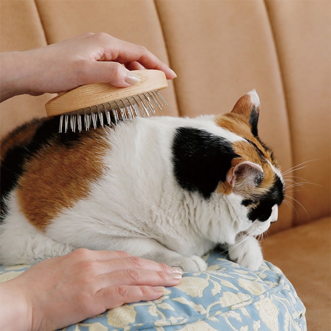 PET ブラシ オークウッド STEEL PINS  猫用 ブラシ 毛づくろい ブラッシング クシ 櫛  