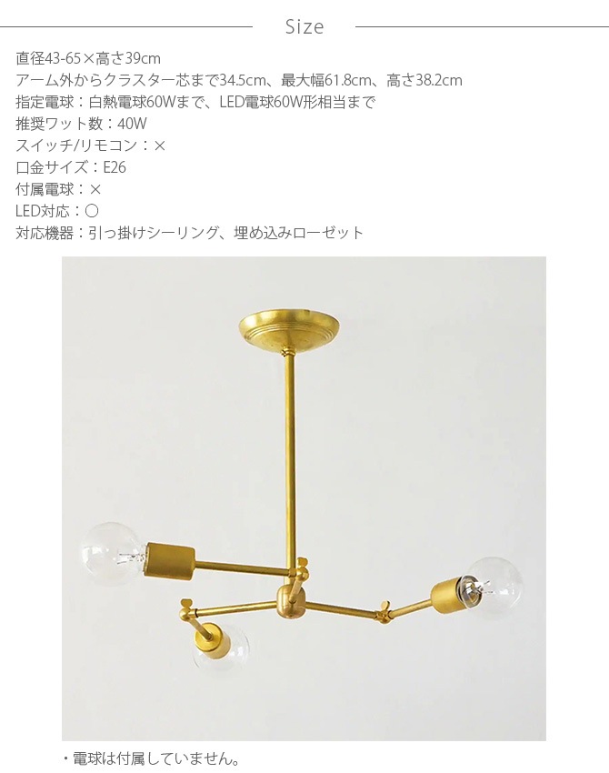 ACME Furniture ե˥㡼 SOLID BRASS LAMP 3ARM BLASS 