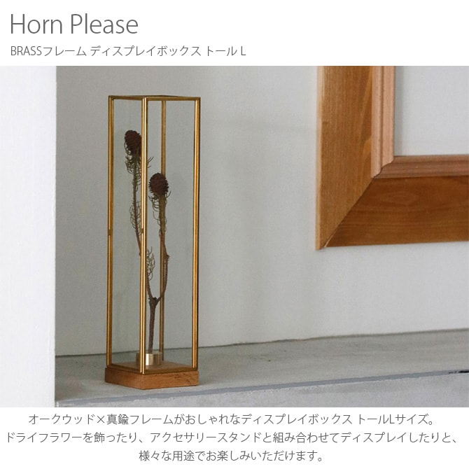 Horn Please ۡ ץ꡼ BRASSե졼 ǥץ쥤ܥå ȡ L 