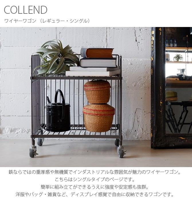 COLLEND  磻䡼若 ʥ쥮顼󥰥 