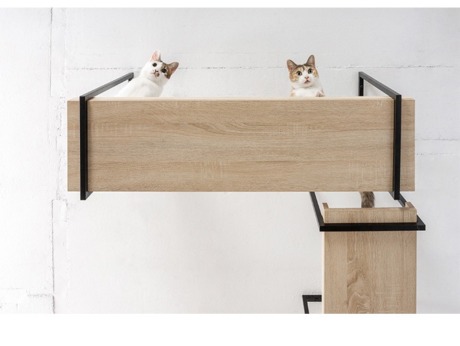 MYZOO �ޥ����� AVENUE 60cm  ǭ�� ǭ ����åȥ��ƥå� ����åȥ������� ���դ� ŷ���դ� ����å� ���ƥå� �������� �̲�  