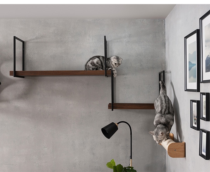 MYZOO マイズー AVENUE 60cm  猫用 猫 キャットステップ キャットウォーク 壁付け 天井付け キャット ステップ ウォーク 屋内  