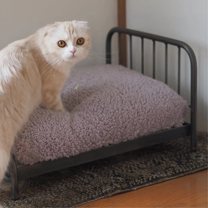 JOURNAL STANDARD FURNITURE 㡼ʥ륹ɥե˥㡼 SENS BED for CAT  ǭ ٥å ڥåȥ٥å  ե졼 ӥơ ơ ȥꥢ ȶ ƥꥢ  