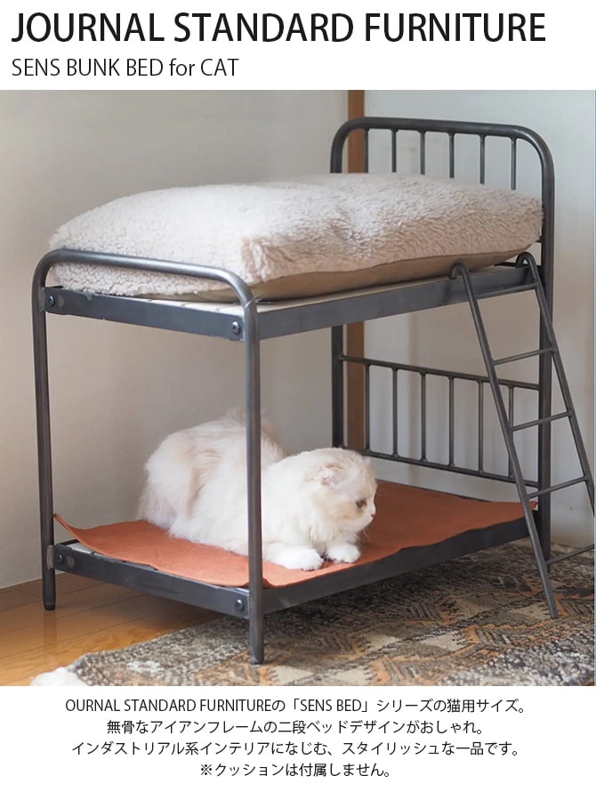 JOURNAL STANDARD FURNITURE 㡼ʥ륹ɥե˥㡼 SENS BUNK BED for CAT  ǭ ٥å ڥåȥ٥å  ե졼 ӥơ ơ ȥꥢ ȶ ƥꥢ  
