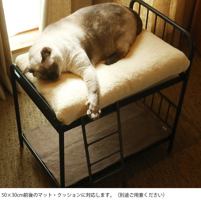 JOURNAL STANDARD FURNITURE 㡼ʥ륹ɥե˥㡼 SENS BUNK BED for CAT  ǭ ٥å ڥåȥ٥å  ե졼 ӥơ ơ ȥꥢ ȶ ƥꥢ  