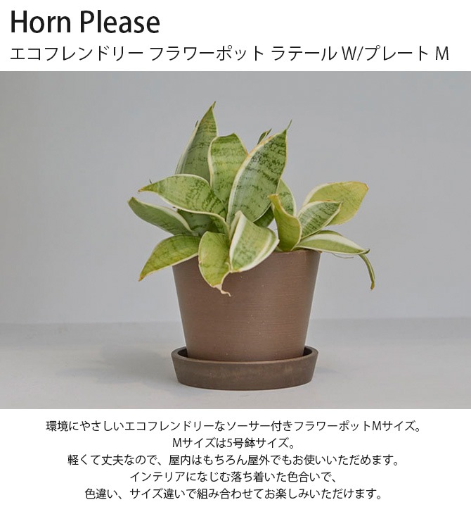 Horn Please ۡ ץ꡼ եɥ꡼ եݥå ơ W/ץ졼 M 
