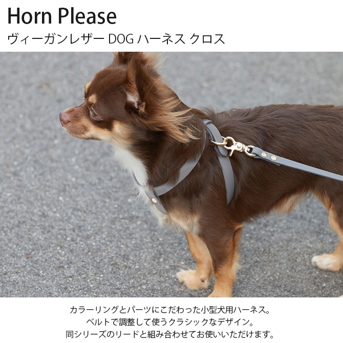 Horn Please ۡ ץ꡼ 쥶 DOG ϡͥ 