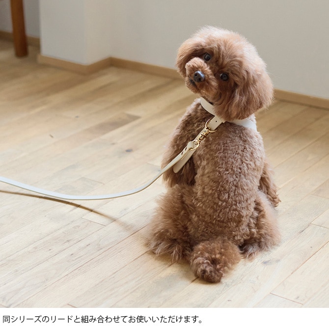 Horn Please �ۡ��� �ץ꡼�� ����������쥶�� DOG �ϡ��ͥ� ������