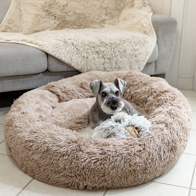 TALL TAILS �ȡ��� �ƥ��륺 �ɥ꡼����������� �٥å� S 