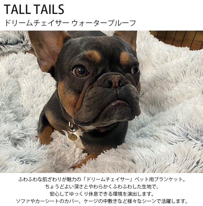 TALL TAILS ȡ ƥ륺 ɥ꡼ ץ롼 