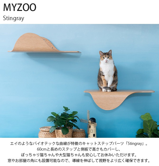 MYZOO ޥ Stingray ñ  ǭ åȥƥå   åȥ 緿ǭ ̲ ƥꥢ դ ê  