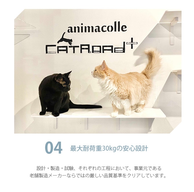 animacolle ˥ޥ Catroad+ 󥰥ƥå 90cm