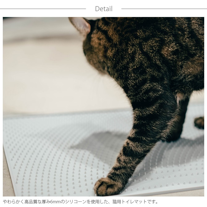 pidan ԥ Cat Litter Mat ǭѥȥޥå  ǭѥȥޥå ǭѥȥ ͥå ǭå ǭ ͥ ڥå ڥåȥå ưʪ   