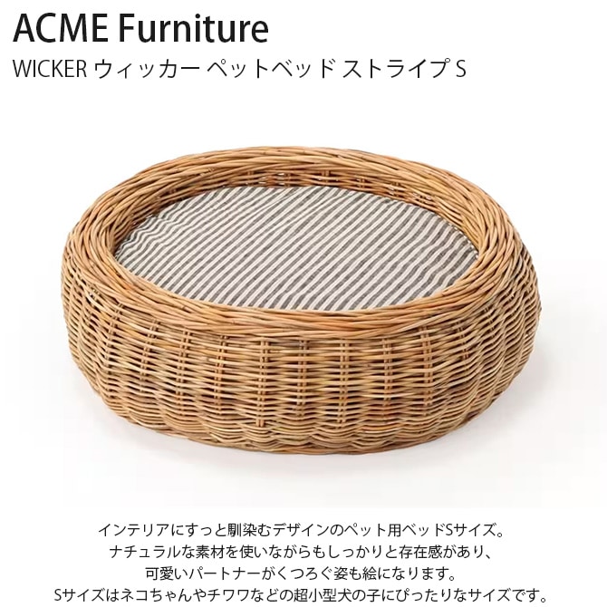 ACME Furniture ե˥㡼 WICKER å ڥåȥ٥å ȥ饤 S 