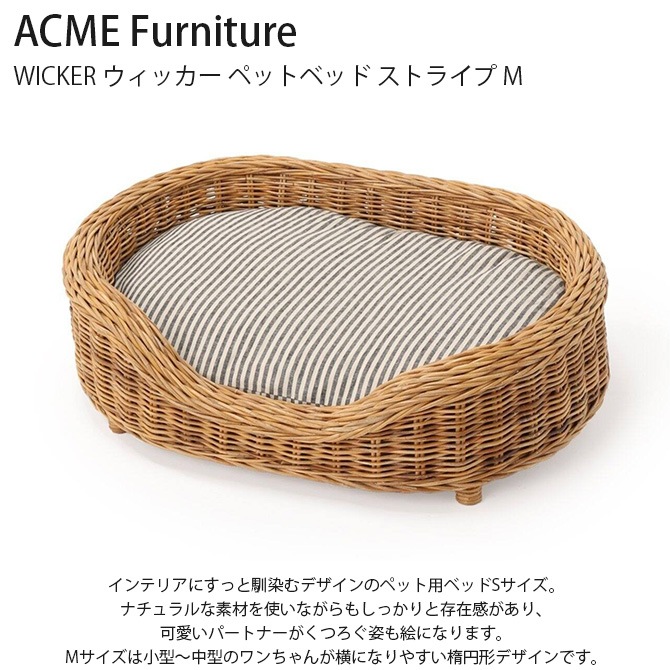 ACME Furniture ե˥㡼 WICKER å ڥåȥ٥å ȥ饤 M 