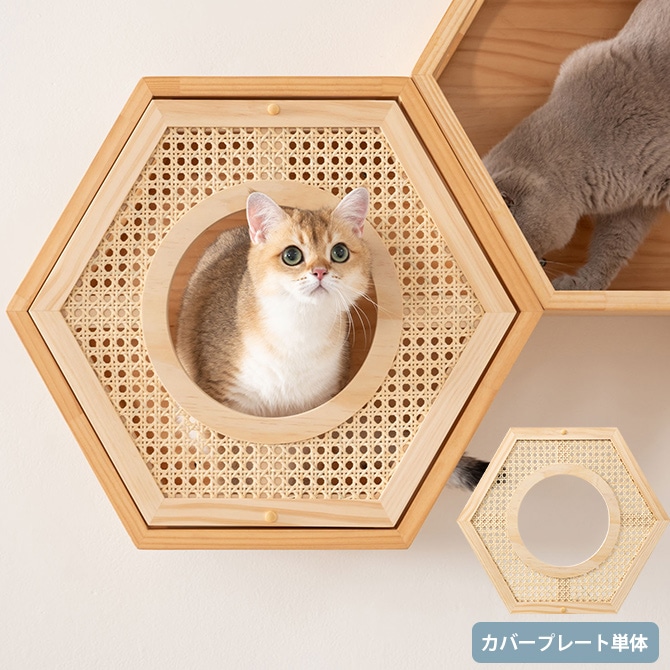 Busy Cat COVER RATTAN С饿