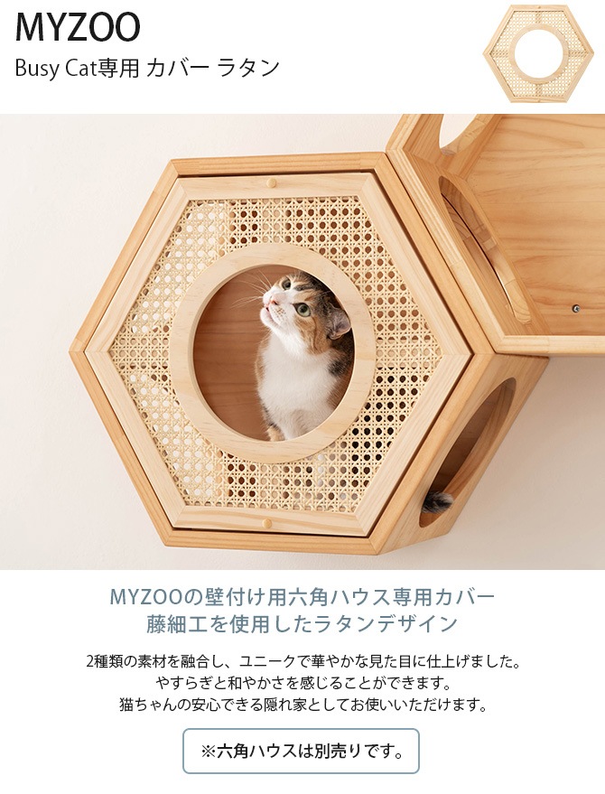 MYZOO ޥ Busy Cat COVER RATTAN С饿  ǭ ϥ ġ ϻ 饿 ƣٹ   С ץ졼  