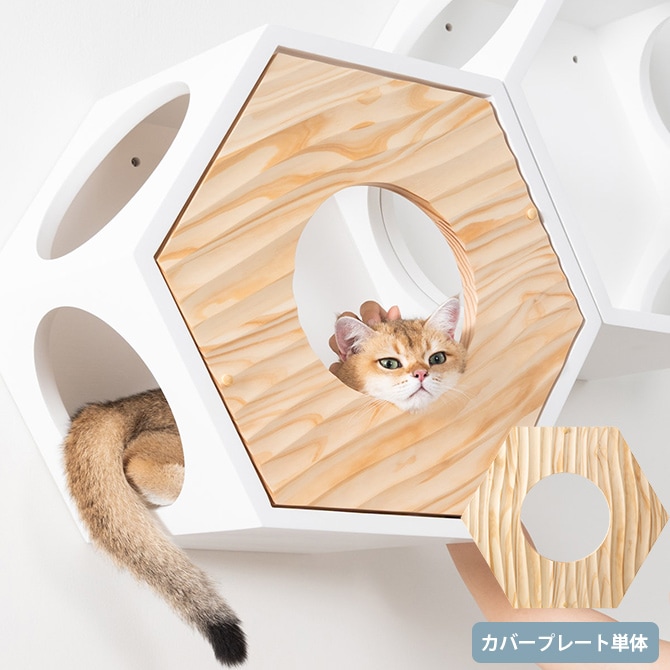 MYZOO ޥ Busy Cat COVER WAVE С  ǭ ϥ ġ ϻ     С ץ졼  