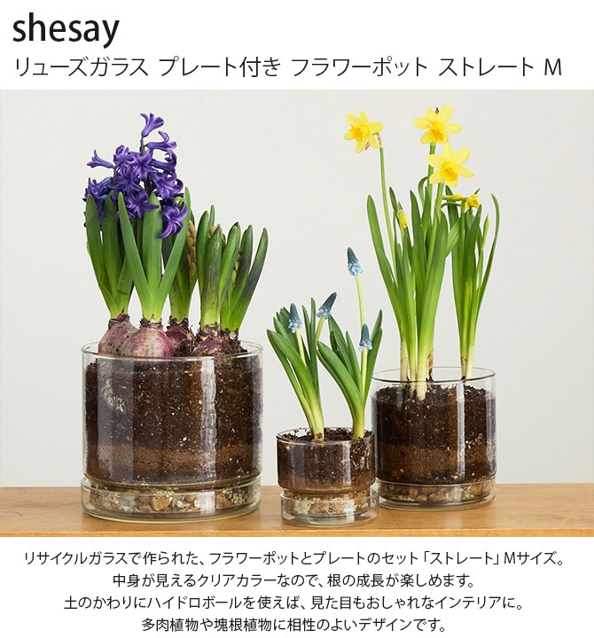 shesay  塼饹 ץ졼դ եݥå ȥ졼 M 