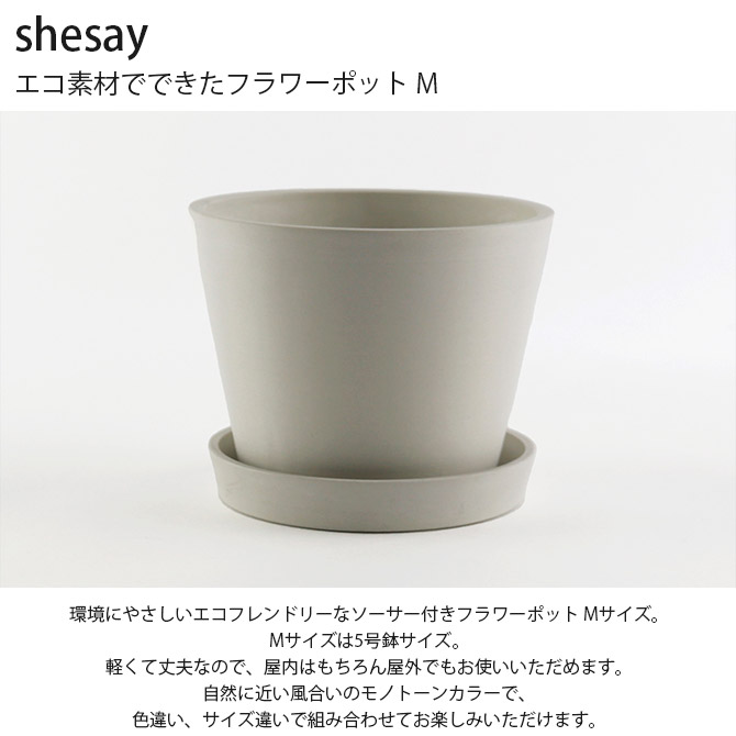 shesay  ǺǤǤեݥå M 