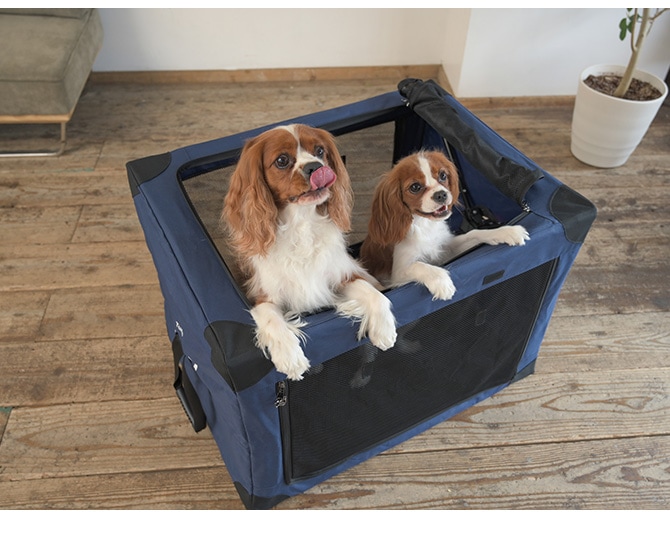 Wanyanya わにゃにゃ ペットクレートSサイズ | 商品種別,ペット