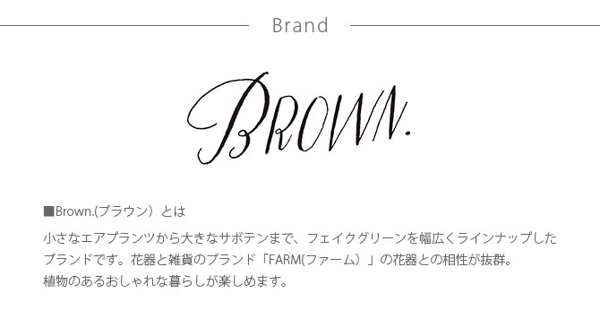 Brown. ֥饦 ե꡼ ӥ ϥ󥮥󥰥ܡ 60  