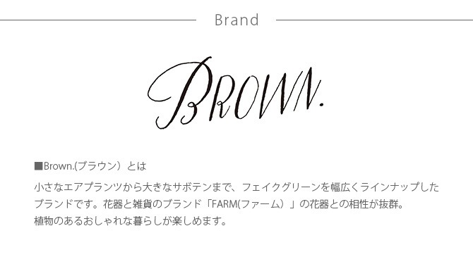 Brown. ֥饦 ե꡼ ѥ˥å⥹ ϥ󥮥󥰥֥å ꡼ 152 