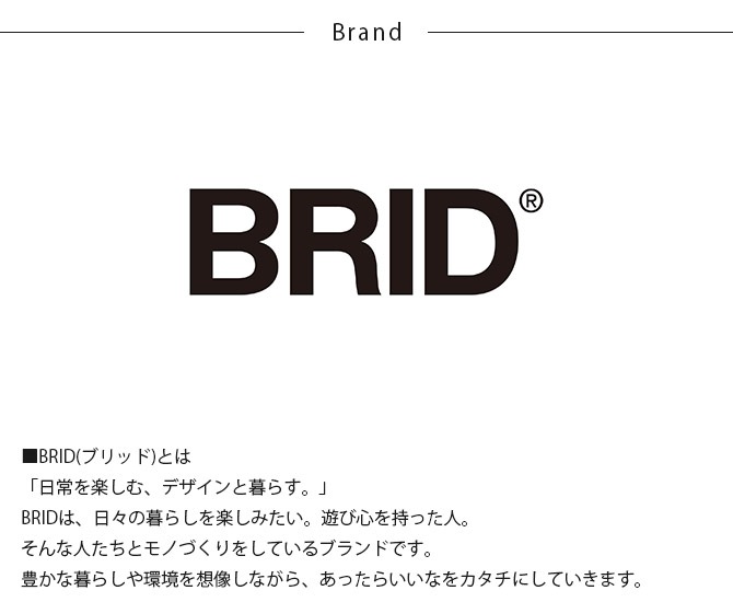 BRID ֥å GENERAL ʰ׼դѥȥ졼 LED饤դ  ȥ졼 LED饤  ⥳ Ĵ ܾ ŵ忧   ƥꥢ  