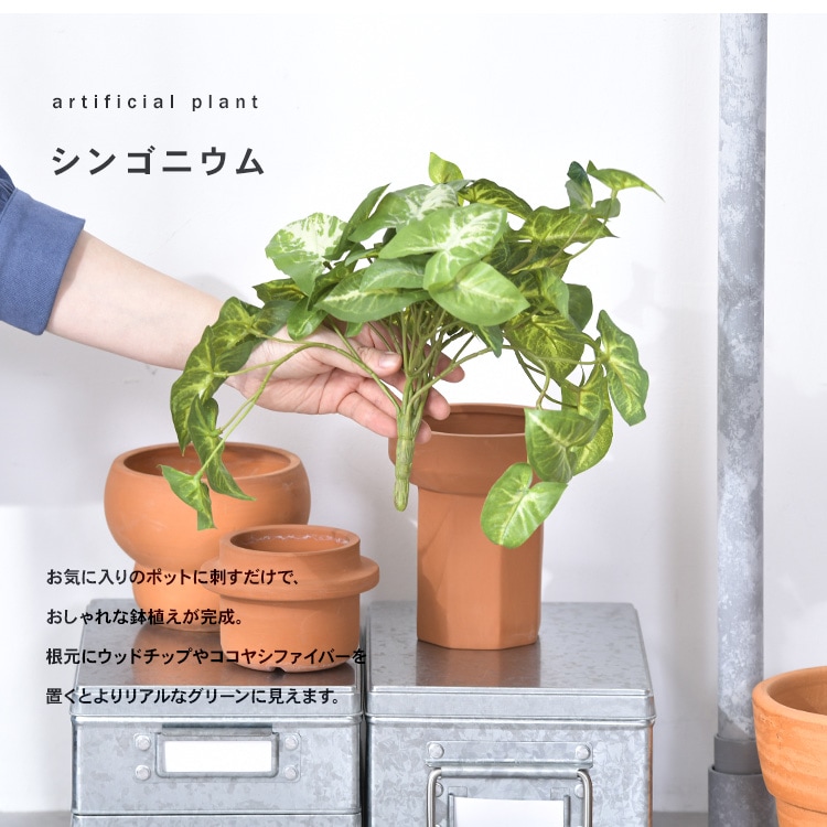 シンゴニウム ブッシュ | 商品種別,グリーン,フェイクグリーン