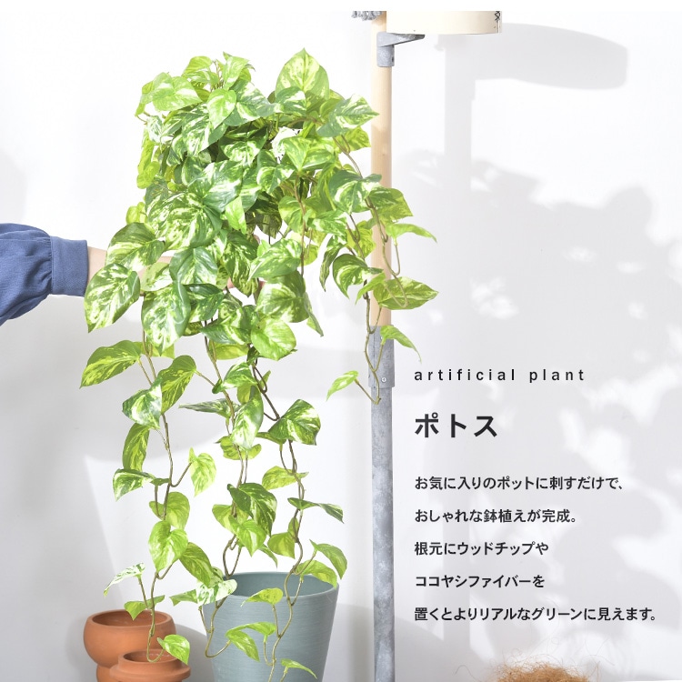 ポトス ハンギングブッシュ | 商品種別,グリーン,フェイクグリーン