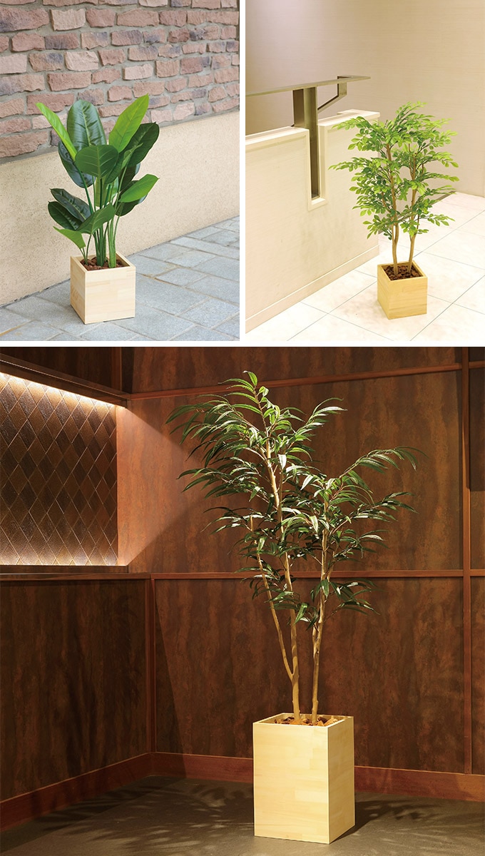 フェイクグリーン 鉢植え 大型 ウッドボックス ベンジャミン 1.8m