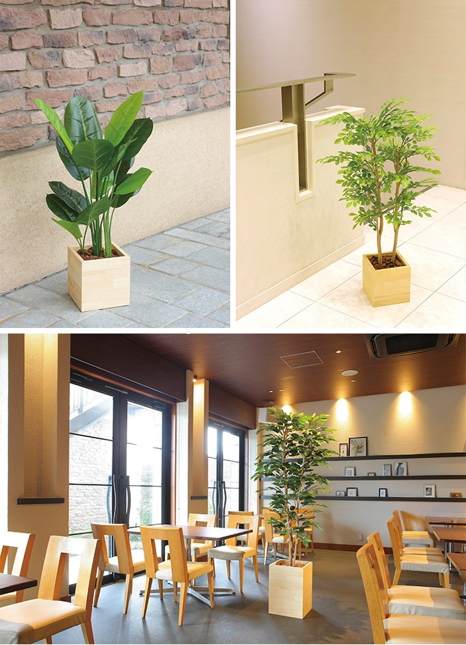 フェイクグリーン 鉢植え 大型 ウッドボックス ウンベラータ 1.8