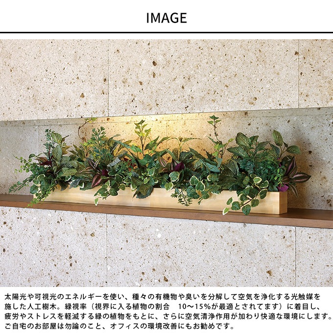 pg-29410_1.jpg
