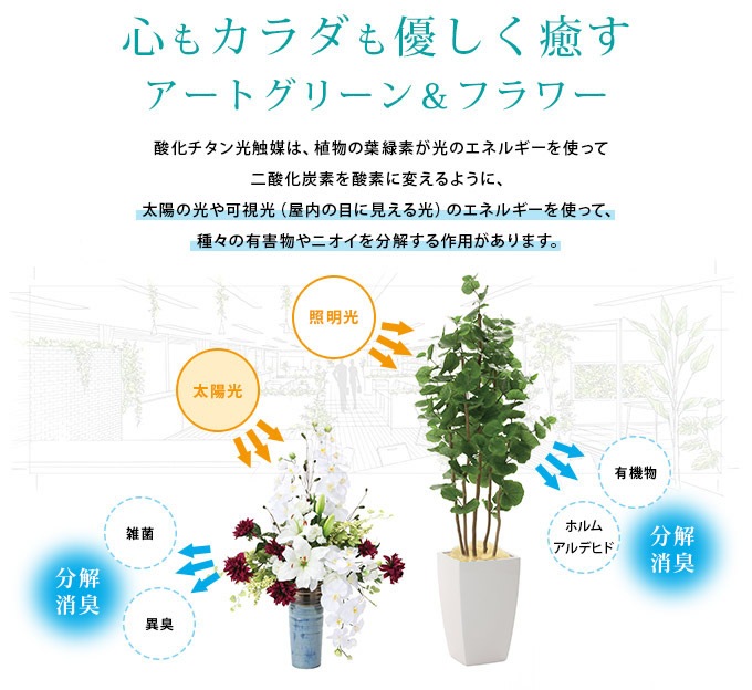 �ե��������꡼�� �������󥹥���� �ߥå��� 1.1m  �͹����� ¤�� �ꥢ�� ������ �������� �ۥ�ॢ��ǥҥ� ����ƥꥢ���꡼�� �緿 ���ե������������� ���������ñ �������  