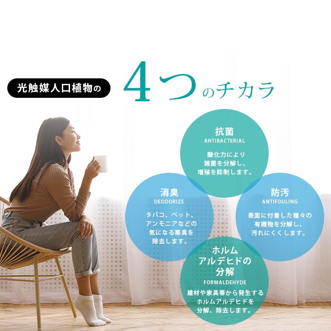�ե��������꡼�� �������󥹥���� �ߥå��� 1.1m  �͹����� ¤�� �ꥢ�� ������ �������� �ۥ�ॢ��ǥҥ� ����ƥꥢ���꡼�� �緿 ���ե������������� ���������ñ �������  