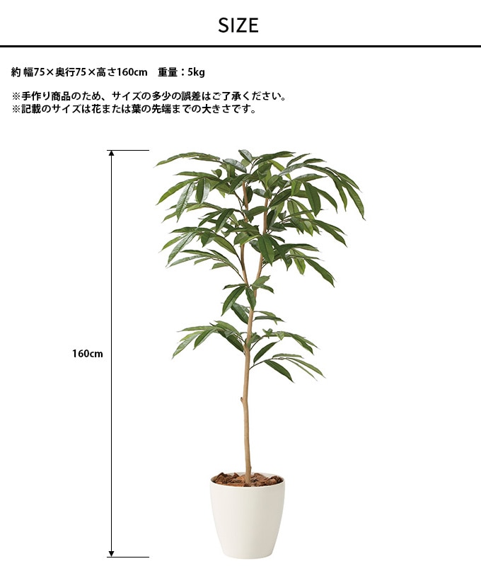 �ե��������꡼�� ȭ���� �緿 ���տ�ʪ �͹����� �ե��������� ���ॹ�ƥ��С����� 1.6m  �͹����� ¤�� �ꥢ�� ������ �������� �ۥ�ॢ��ǥҥ� ����ƥꥢ���꡼�� �緿 ���ե������������� ���������ñ �������  