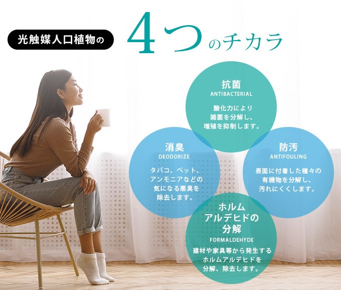 �ե��������꡼�� ȭ���� �緿 ���տ�ʪ �͹����� �ե��������� �ͤ���� 1.3m  �͹����� ¤�� �ꥢ�� ������ �������� �ۥ�ॢ��ǥҥ� ����ƥꥢ���꡼�� �緿 ���ե������������� ���������ñ �������  