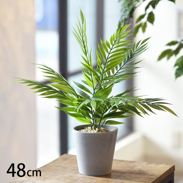 �ơ��֥�䥷 �ݥå�   �ե��������꡼�� ������� ȭ �ơ��֥�䥷 �ڥå� �͹����տ�ʪ ���꡼�� ����ƥꥢ ���� �ܥ��˥���  