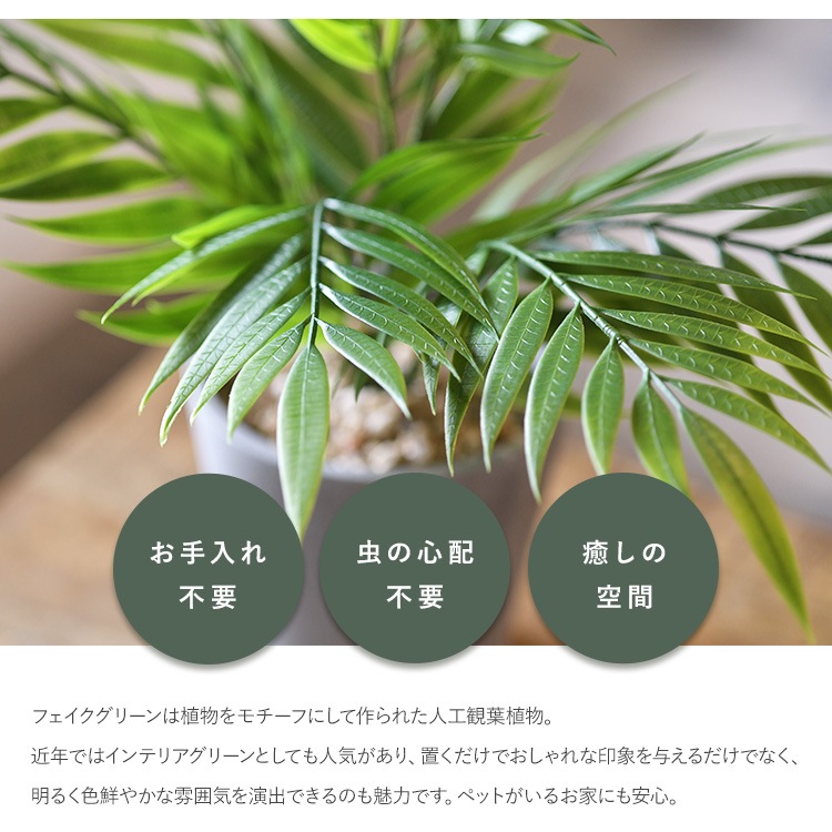 �ơ��֥�䥷 �ݥå�   �ե��������꡼�� ������� ȭ �ơ��֥�䥷 �ڥå� �͹����տ�ʪ ���꡼�� ����ƥꥢ ���� �ܥ��˥���  