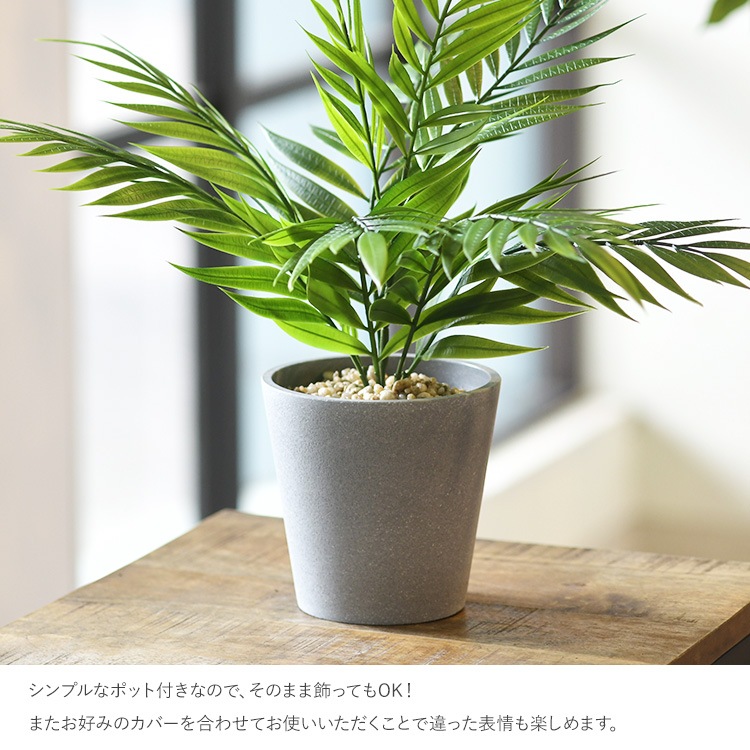 �ơ��֥�䥷 �ݥå�   �ե��������꡼�� ������� ȭ �ơ��֥�䥷 �ڥå� �͹����տ�ʪ ���꡼�� ����ƥꥢ ���� �ܥ��˥���  