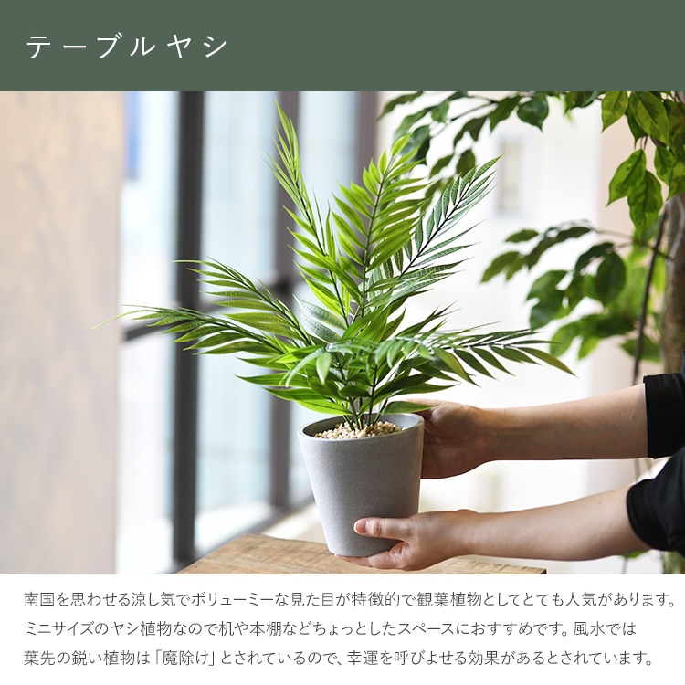 �ơ��֥�䥷 �ݥå�   �ե��������꡼�� ������� ȭ �ơ��֥�䥷 �ڥå� �͹����տ�ʪ ���꡼�� ����ƥꥢ ���� �ܥ��˥���  