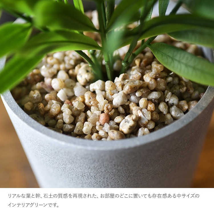 �ơ��֥�䥷 �ݥå�   �ե��������꡼�� ������� ȭ �ơ��֥�䥷 �ڥå� �͹����տ�ʪ ���꡼�� ����ƥꥢ ���� �ܥ��˥���  