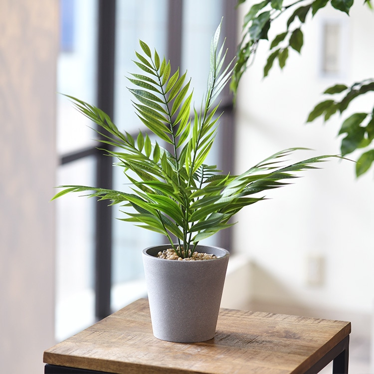 �ơ��֥�䥷 �ݥå�   �ե��������꡼�� ������� ȭ �ơ��֥�䥷 �ڥå� �͹����տ�ʪ ���꡼�� ����ƥꥢ ���� �ܥ��˥���  