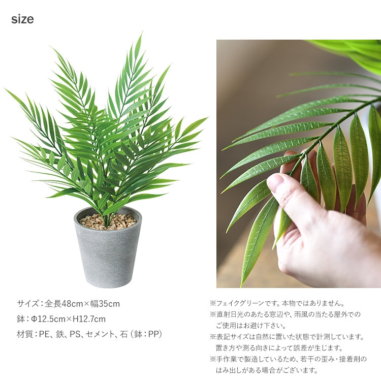 �ơ��֥�䥷 �ݥå�   �ե��������꡼�� ������� ȭ �ơ��֥�䥷 �ڥå� �͹����տ�ʪ ���꡼�� ����ƥꥢ ���� �ܥ��˥���  